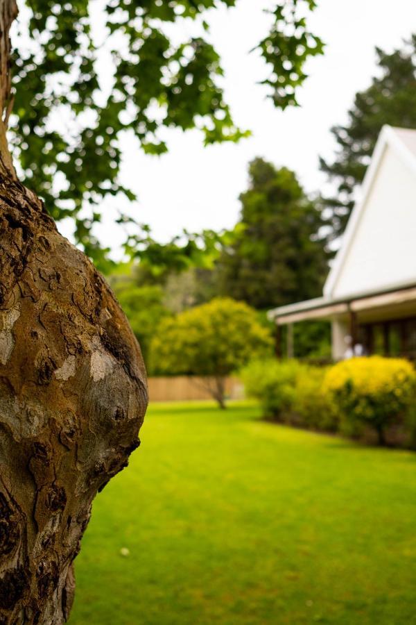 Bwhale Guest House B&B Knysna Eksteriør bilde